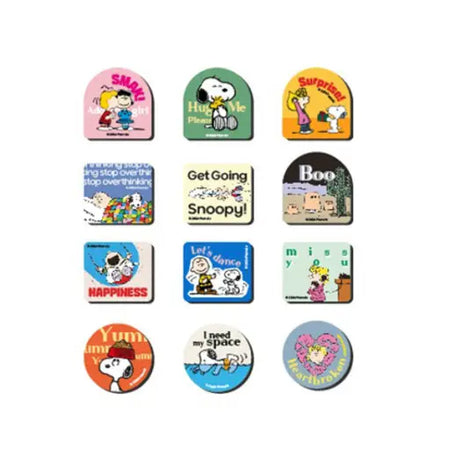 Peanuts Snoopy & Friends Mystery Magnet