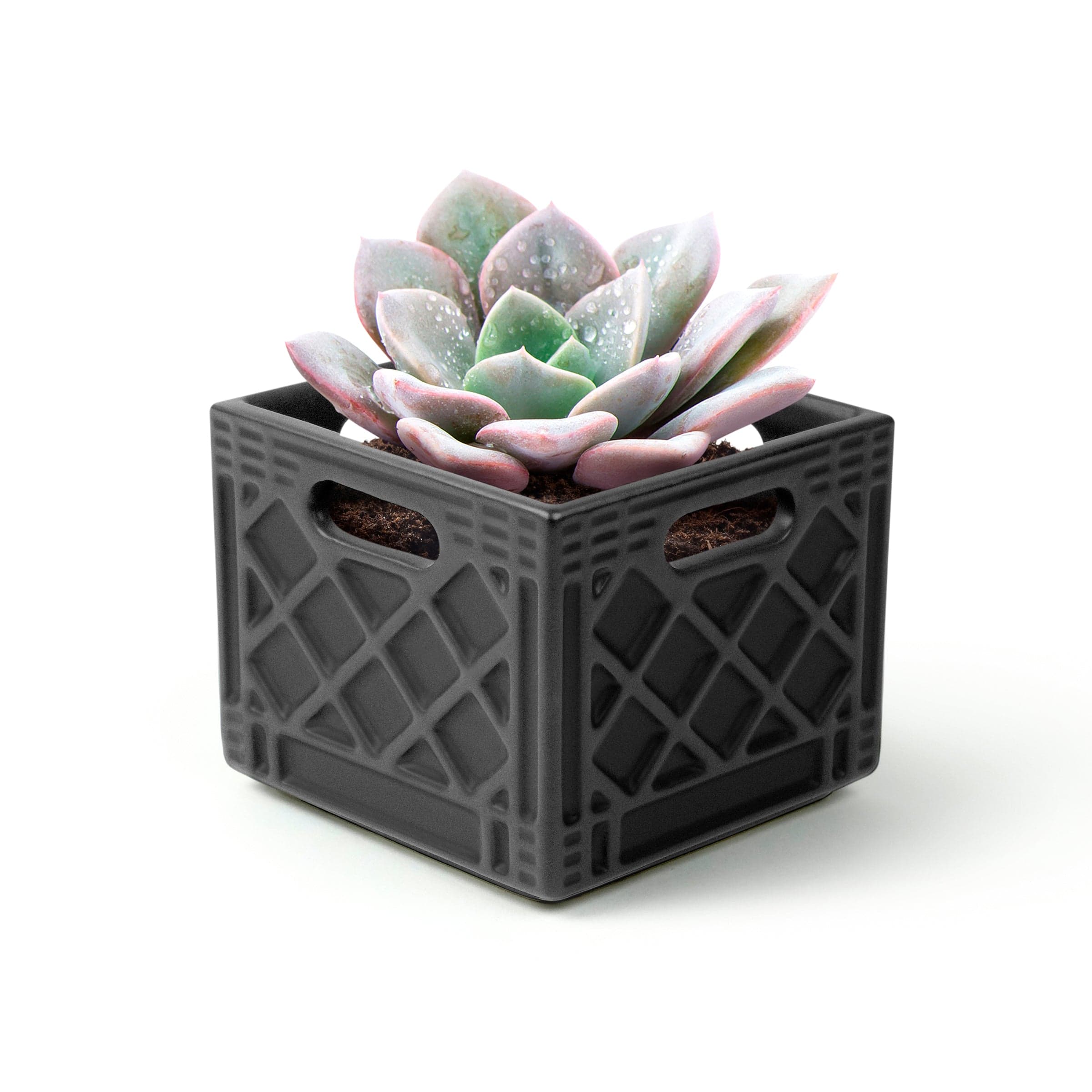 plastic crate planter Milk Crate Planter – Unlisted