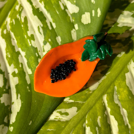 Papaya Kitchen Magnet