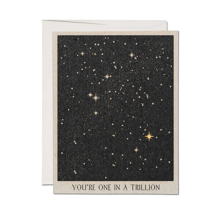 One in a Trillion Friendship Greeting Card