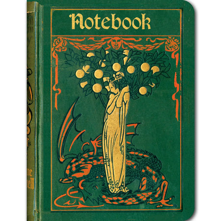 Fairy With Green Dragon Vintage Notebook