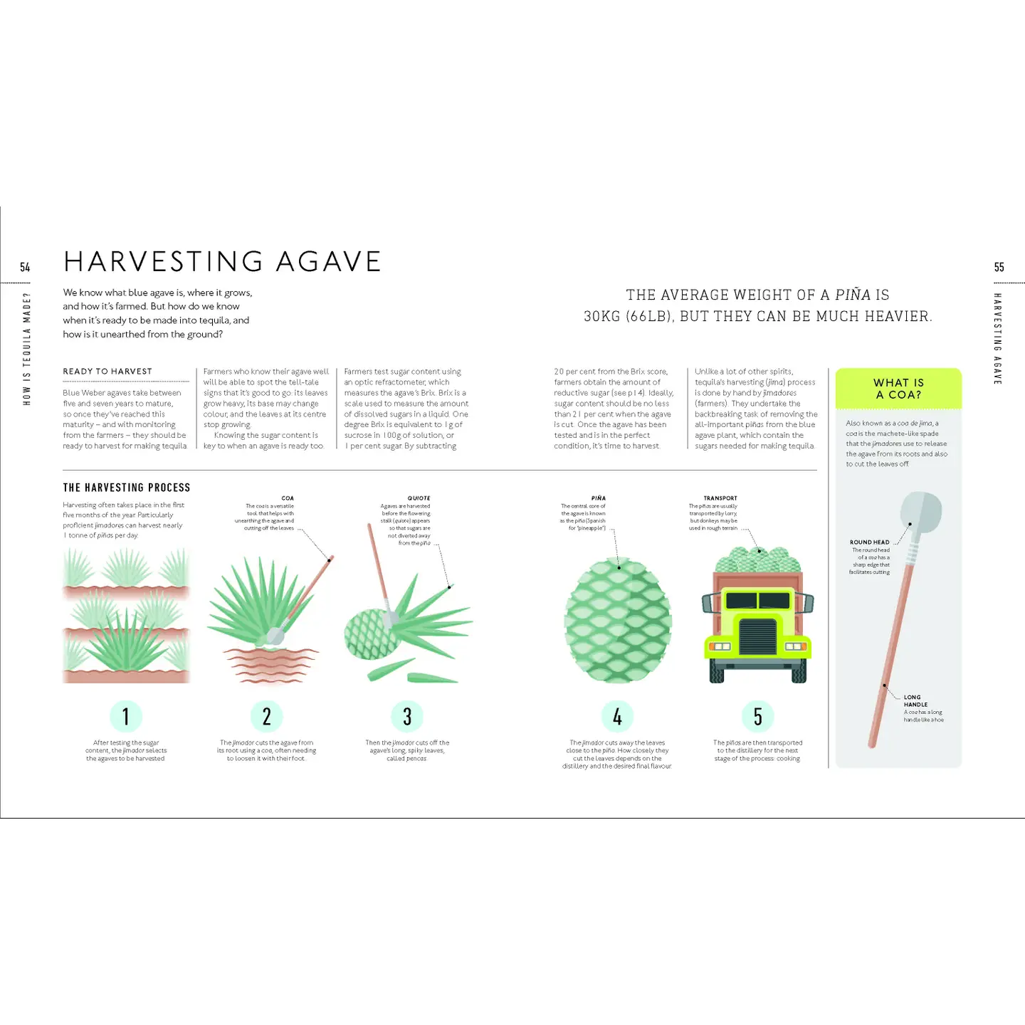 Tequila Tasting Course