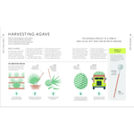 Tequila Tasting Course