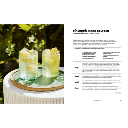 Hard Seltzer, Iced T, Kombucha