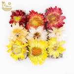 Sunset Sunflower with White Sage Smudge (Red White Yellow)