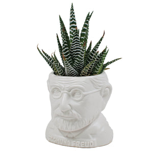 Sigmund Freud Planter