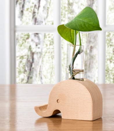 Elephant Propagation Vase